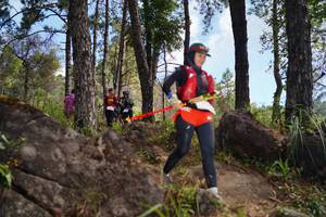 BIB: 
                            <button type="button" onclick="openModal(18964733)" class="btn btn-primary btn-sm float-right btn-popup" data-toggle="modal" data-target=".modal-high-quality">
                        <i class="fas fa-shopping-cart"></i> Add to Cart
                    </button>
                                            <button type="button" onclick="isThisMe(18964733, true)" class="btn btn-success btn-sm float-right btn-popup btn-isme hidden" data-toggle="tooltip" data-placement="bottom" title="นี่คือรูปของคุณใช่ไหม คลิกที่นี่เพื่อเอาเข้าอัลบั้ม">
                        <i class="fas fa-plus"></i> Add to album
                    </button>
                    <button type="button" onclick="isThisMe(18964733, false)" class="btn btn-warning btn-sm float-right btn-popup btn-isnotme hidden">
                        <i class="fas fa-ban"></i> Remove from album
                    </button>